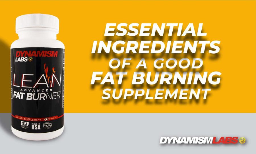 Fat Burner Supplement