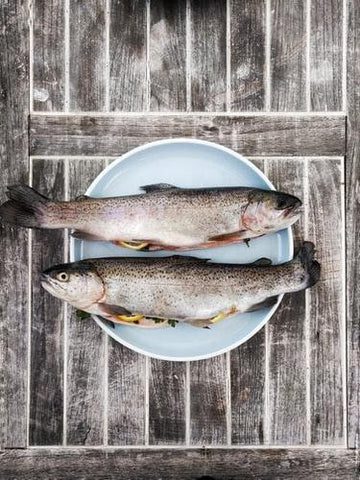 Fish