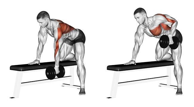 Dumbbell Single-Arm Row