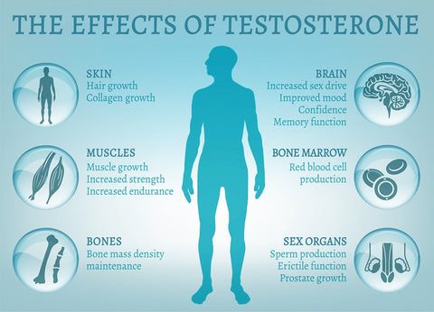 testosterone replacement therapy
